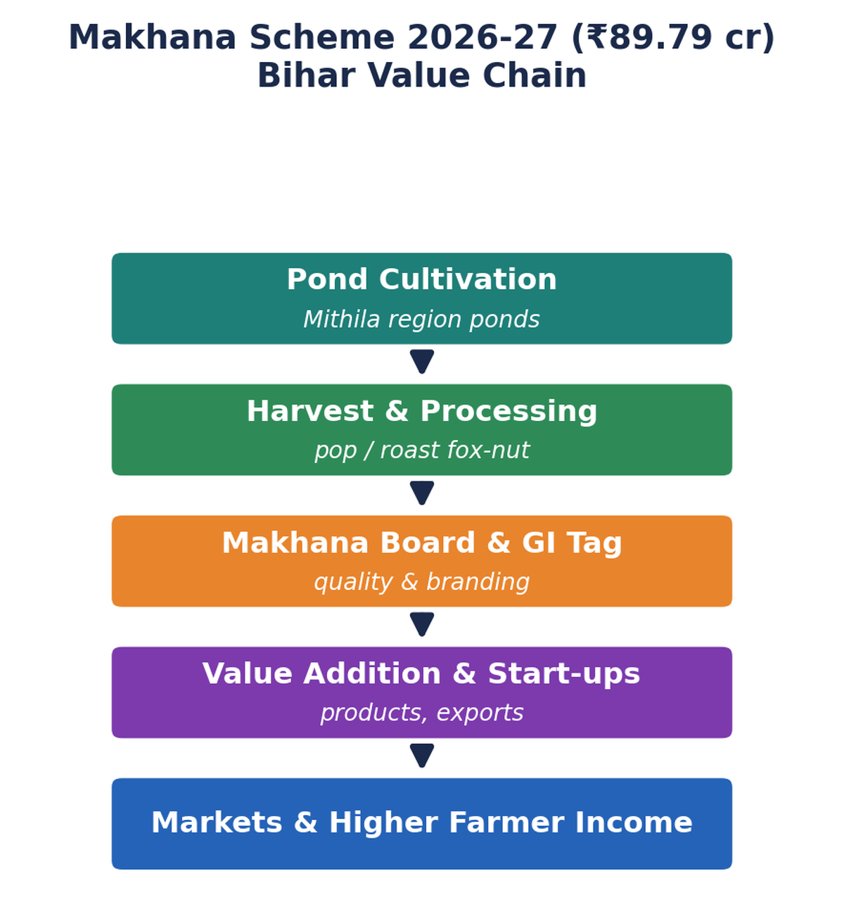 मखाना मूल्य-श्रृंखला का ऊर्ध्वाधर फ्लोचार्ट: तालाब खेती, कटाई व प्रसंस्करण, मखाना बोर्ड व GI टैग, मूल्य-संवर्धन व स्टार्ट-अप, बाज़ार व अधिक किसान आय।