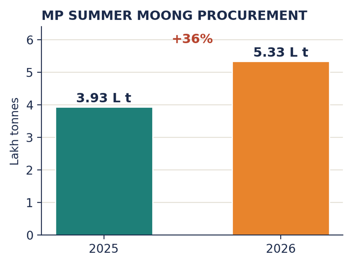 Bar chart comparing MP summer-moong procurement: 3.93 lakh tonnes (2025) vs 5.33 lakh tonnes (2026), a +36% rise.