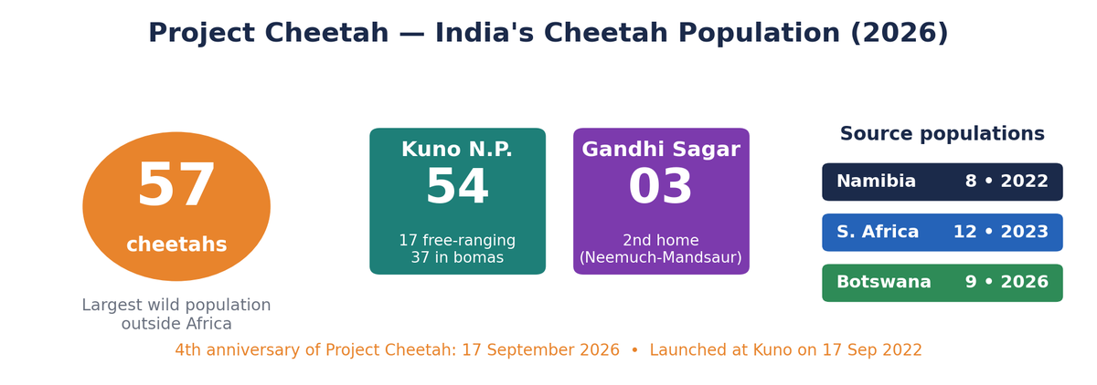 प्रोजेक्ट चीता 2026 का तथ्य-आरेख: कुल 57 चीते, कूनो 54, गांधी सागर 3, स्रोत आबादी नामीबिया 8 (2022), दक्षिण अफ्रीका 12 (2023), बोत्सवाना 9 (2026)।