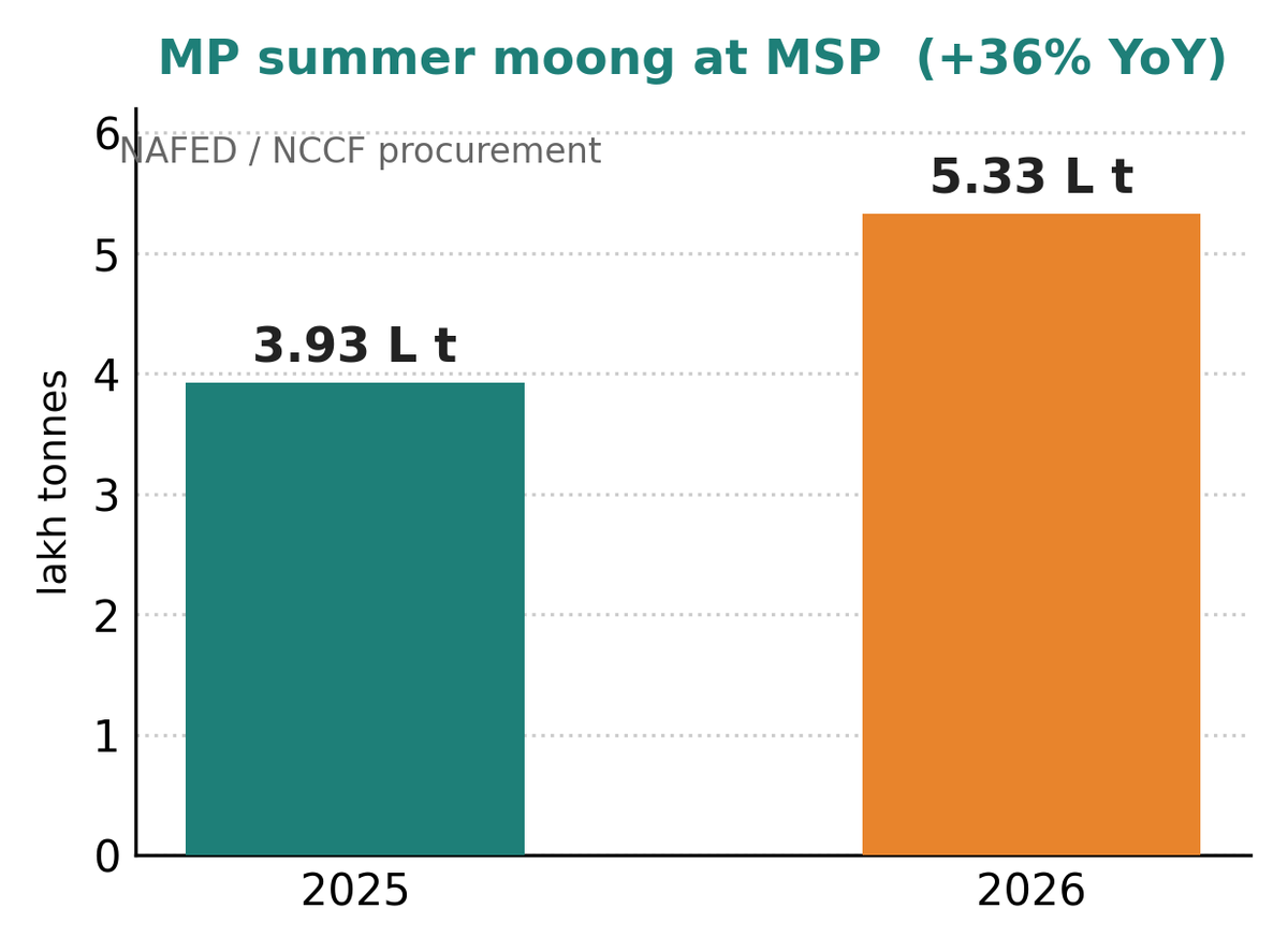 MP में MSP पर खरीदी गई ग्रीष्मकालीन मूँग की तुलना: 2025 में 3.93 लाख टन बनाम 2026 में 5.33 लाख टन, 36% वृद्धि।