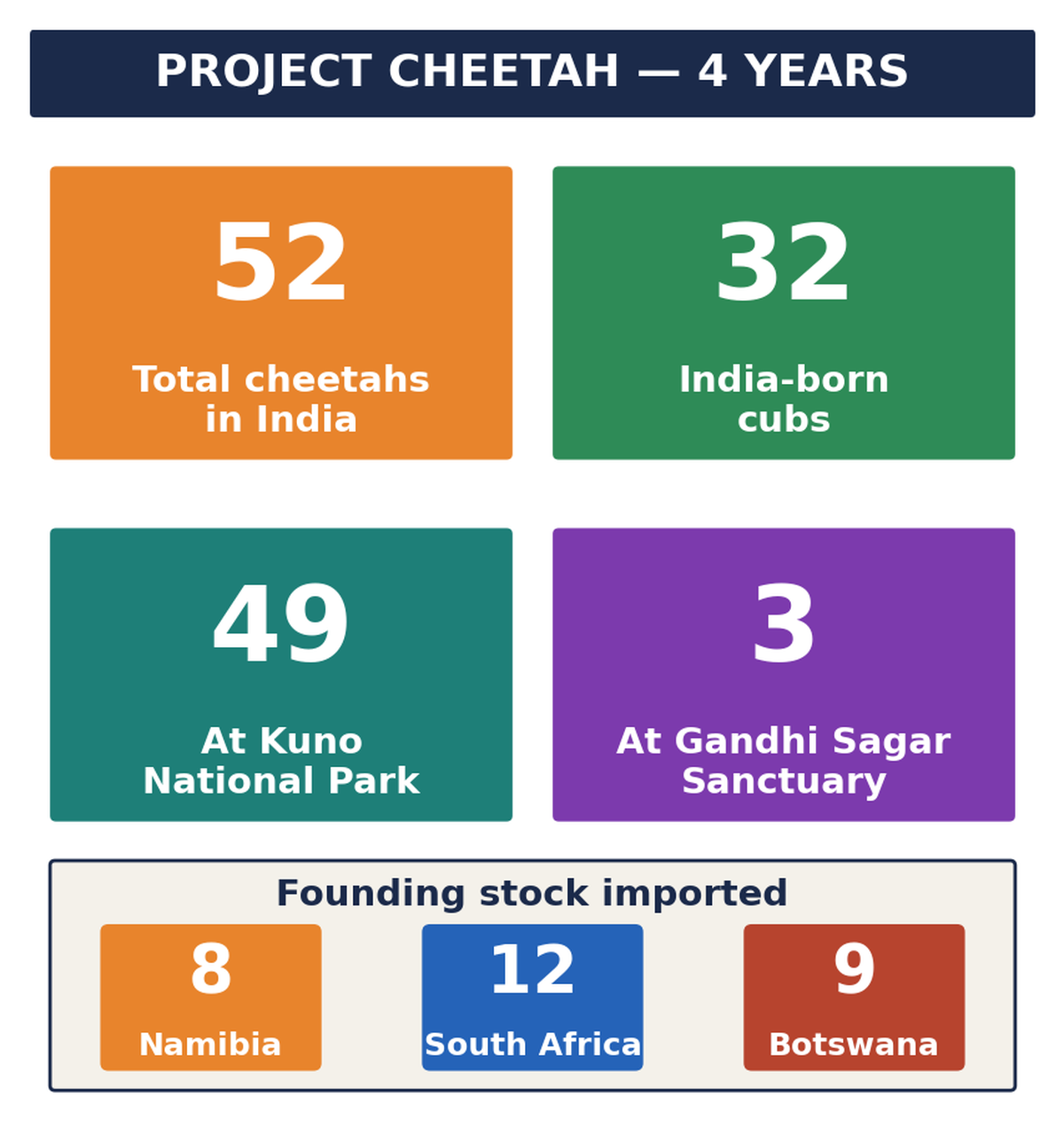 स्टैट टाइल: कुल 52 चीते, 32 भारत में जन्मे, कुनो 49, गांधीसागर 3, और आयात स्रोत।